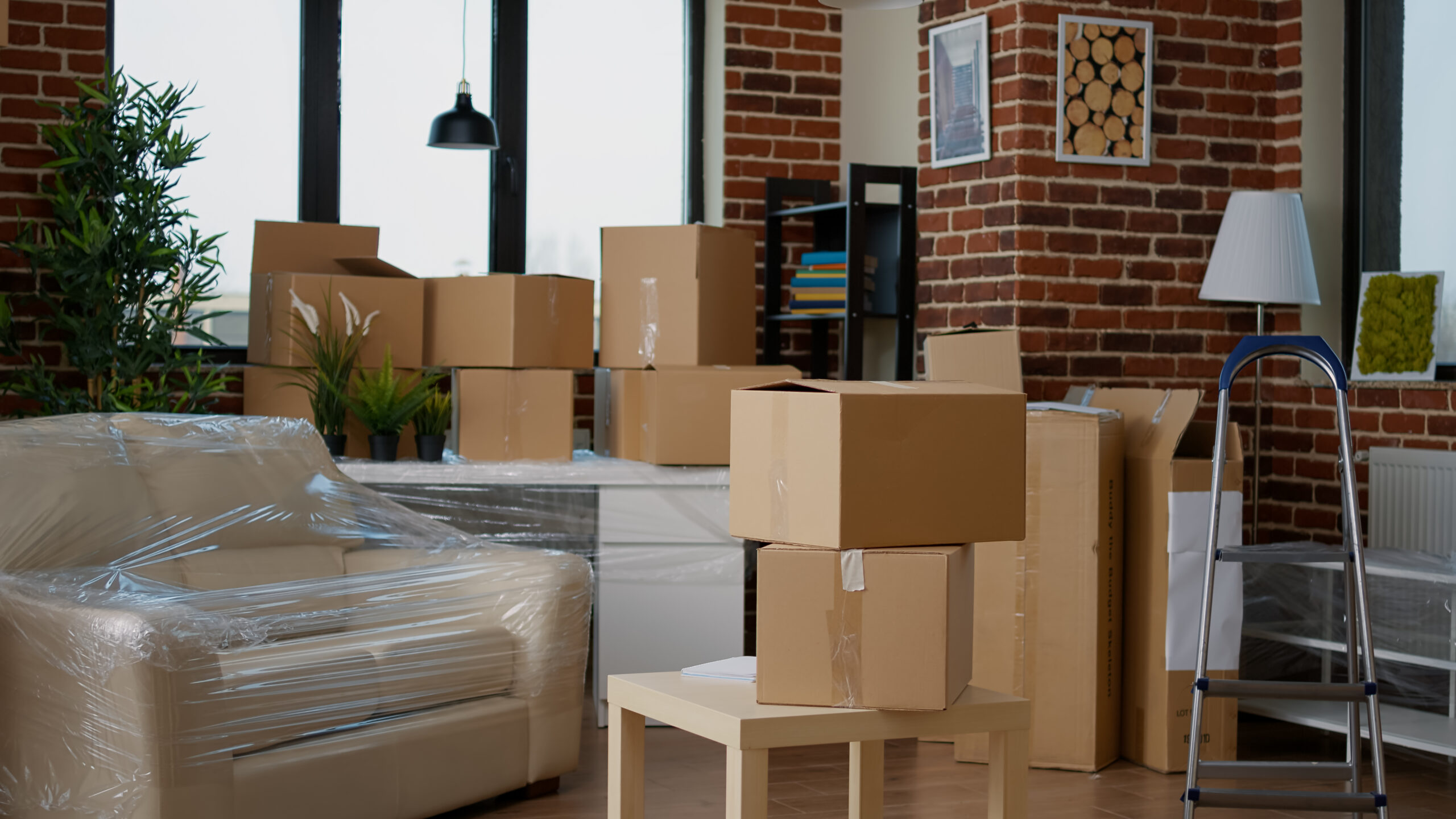 nobody in empty living room with cardboard packaging